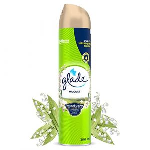 Schneider Electric C Brise muguet ar&eacute;osol 300 ml