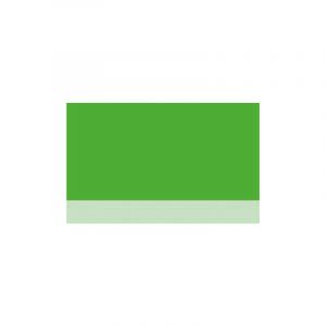 Herbin Les Encres aquarelles Eclats, 50 ml, Pigment vert fluo