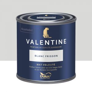 Dulux Valentine Peinture murs&boiseries Valentine Mat Velouté Blanc Frisson 0,125L