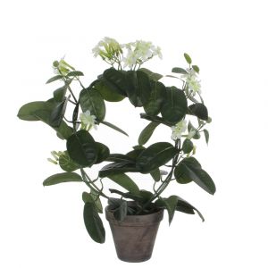 Mica Decorations Plante Artificielle Stephanotis en Pot de Fleur Stan - H50 x Ø40 cm - Blanc