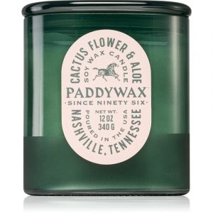 Paddywax Vista Cactus Flower & Aloe duftlys 340 g