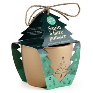Radis et capucine Kit Noël - Pot doré 8cm - Epicéa - Série Limitée