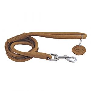 Chapuis sellerie Laisse Ronde en Cuir pour Chien Marron 8 mm 1,22 m