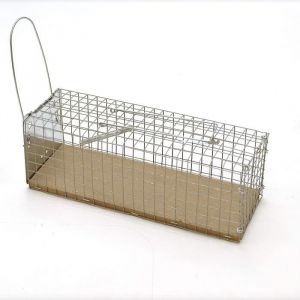 Caussade Socle de nasse à souris