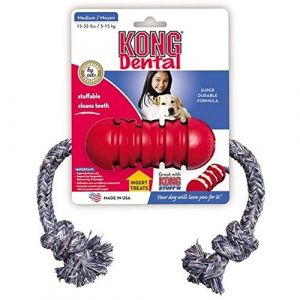 Kong Dental Size Small