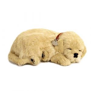 Perfect Petzzz 4908 - Peluche - Chien Golden Retriever 5519717