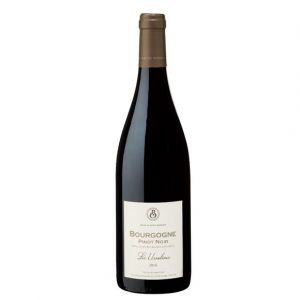 Bourgogne pinot noir les ursulines 2016 jean claude boisset