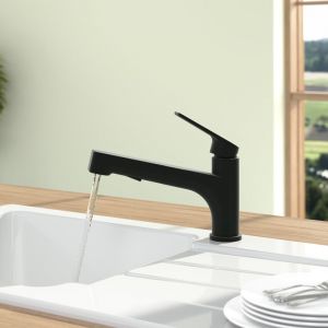 Villeroy & Boch Junis Shower Mitigeur de cuisine pivotant, avec douchette extractible, 92810006,