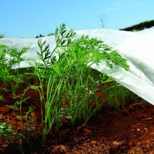 Bradas 1,1m x 5m non tissé couverture végétale protection contre le gel de la plante tissu des moustiquaires