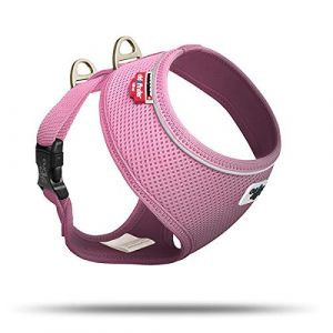 Curli 0101-0302-1-350-10 Basic Harnais Air-Mesh Rose