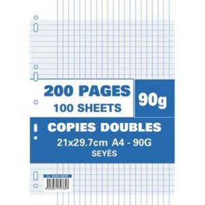 Visiodirect Lot de 10 copies doubles Etui filmé, perforées, 200 pages, 90g, Grands carreaux seyès, Format 21 x 29,7 cm Papier blanc