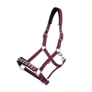 Licol pour cheval Kavalkade Perlon Classic