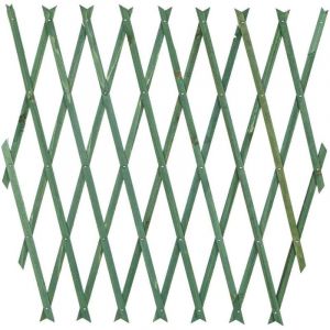 Treillis extensible en bois blanc pour plantes murales de jardin - Trade Shop Traesio - 180x60cm