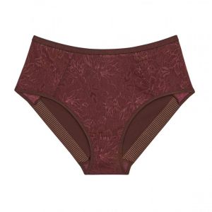 Triumph Shorty - Rouge - Couleur Rouge - Taille 48