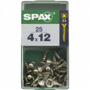 Spax Lot de 25 vis acier t?te cylindrique bombée pozidriv, Diam.4 mm x L.12 mm