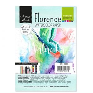 Vaessen Creative Bloc de papier aquarelle Florence texturé Intense White A5 300 gr de (15pcs)