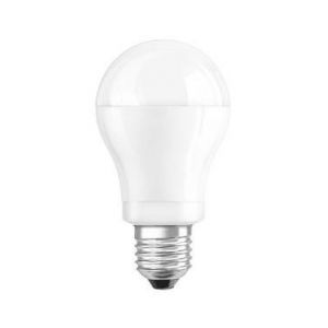 Image de Ampoule led ronde e27 8w blanc chaud - P. OUTILLAGE