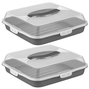 Lot de 2 - Transport pour Gâteaux et Pâtisseries - Plateau à Pâtisseries Rectangulaire - Sans BPA,Pique-niques et Fêtes