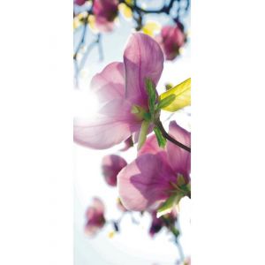AG Flowers in the sun, intiss&eacute; photo mural, 90 x 202 cm, 1 part ART