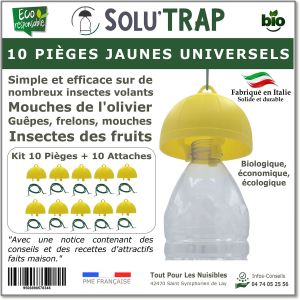 Tout Pour Les Nuisibles - Solutrap 10 pi&egrave;ges jaunes universels mouches gu&ecirc;pes frelons