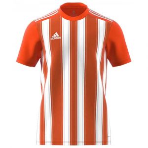 Adidas T-shirt Manche Courte Striped 21 S Team Orange / White