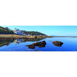 Ceanothe Toile 30X97Lagon Guethary