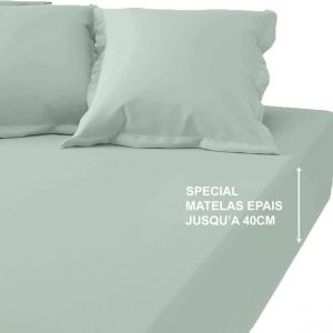 Drap-housse grand bonnet XL Coton Tertio - Celadon