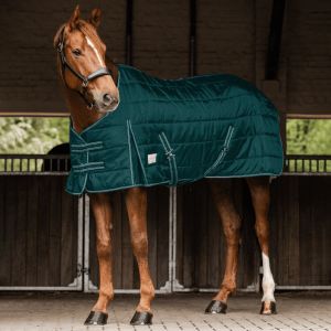Waldhausen Couverture d'écurie pour cheval Economic 100g