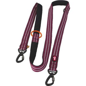 Zolux Laisse pour chien education Bivouak