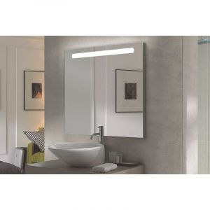 Miroir rétro-éclairant ADEL - Argent - 60x70cm - Verre - Cadre aluminium