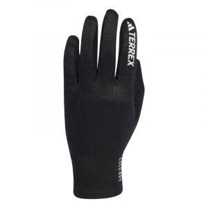 Image de Adidas Terrex Cold.Rdy Gloves - Gants randonn&eacute;e Black L