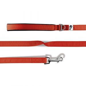 Curli Basic Laisse en nylon pour chien
