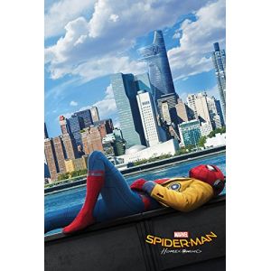 Pyramid International Maxi poster Spiderman (61 x 91,5 cm)