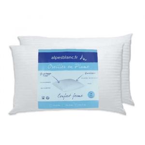 Lot 2 oreillers carrés naturels en Plumes de canard - Dimensions oreillers - 45 x 70 cm