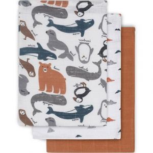 Jollein Lot de 3 gants de toilette hydrophiles Polar