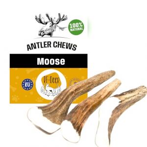 RF - Deer Bois d'orignal, Cerf pour Chien | Taille XL (120-180 g) | Version Hard | 14-17 cm