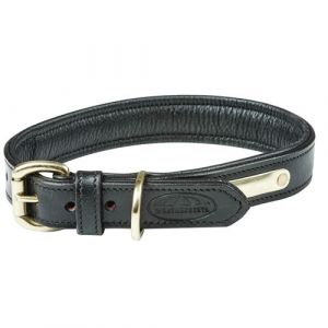 Weatherbeeta Collier pour chien en cuir rembourré