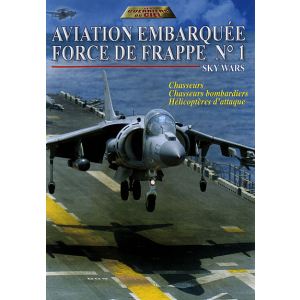 Image de Aviation embarquée : Force de frappe N°1