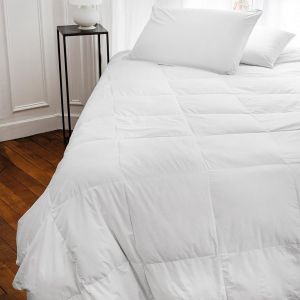 Couette temp&eacute;r&eacute;e percale de coton PLUMDOR Blanche