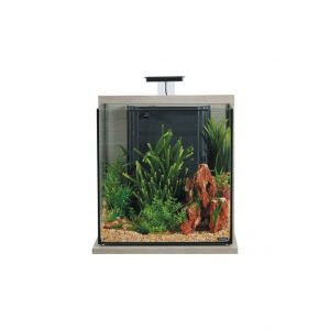 Zolux Aquarium Idro 40 coloris zebrano gris - L 43 x p 30 x h 51,5 cm