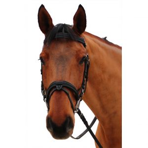 Bridons équitation pour cheval Canter Mylord