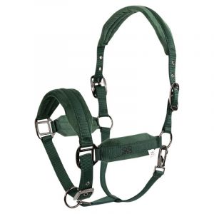 Licol pour cheval BR Equitation Velvet