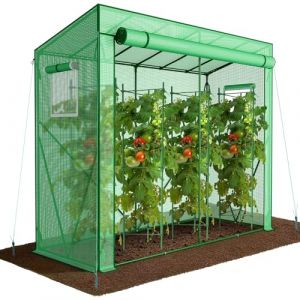 VOUNOT Serre de Jardin à Toit Incliné Serre à Tomate avec Grande Porte et 2 Fenêtres pour Légumes Plantes Fleurs Bâche PE Renforcée 135g/m2 Protéger Vos Plantes en Toutes Saisons 200x77x170cm Vert