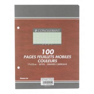Conquerant 100100940 - Feuillets mobiles perf. Sept 170x220 100p./50 feuilles 80g/m², coloris vert, Séyès