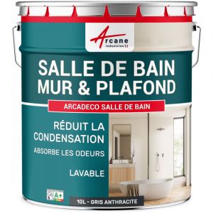 Arcane industries Peinture salle de bain, mur et plafond, condensation - 10 l Gris Anthracite - ral 7016