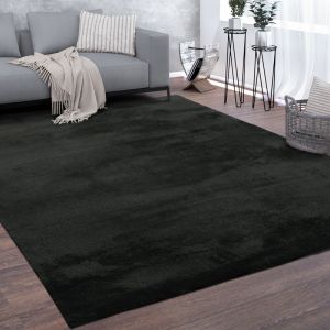 Paco Home - Tapis De Salon Poils Ras Lavable Monochrome Style Moderne Noir 200 cm carré