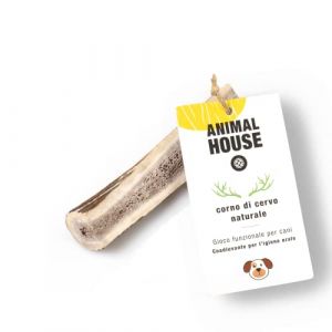 Animal House - Bois de cerf pour Chiens - À mâcher 100% Naturel - Renforce l'hygiène bucco-Dentaire - Résistant et Durable - sans cruauté Envers Les Animaux