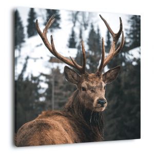 Ceanothe Tableau sur toile regard d'un cerf 45x45 cm