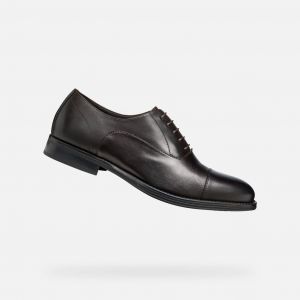 Geox U BARBERIGO Oxford, Marron, 44 EU, Marron, 44 EU