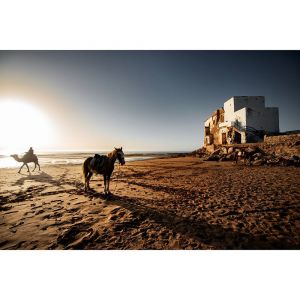 Ceanothe Tableau sur toile paix de la nature 65x97 cm